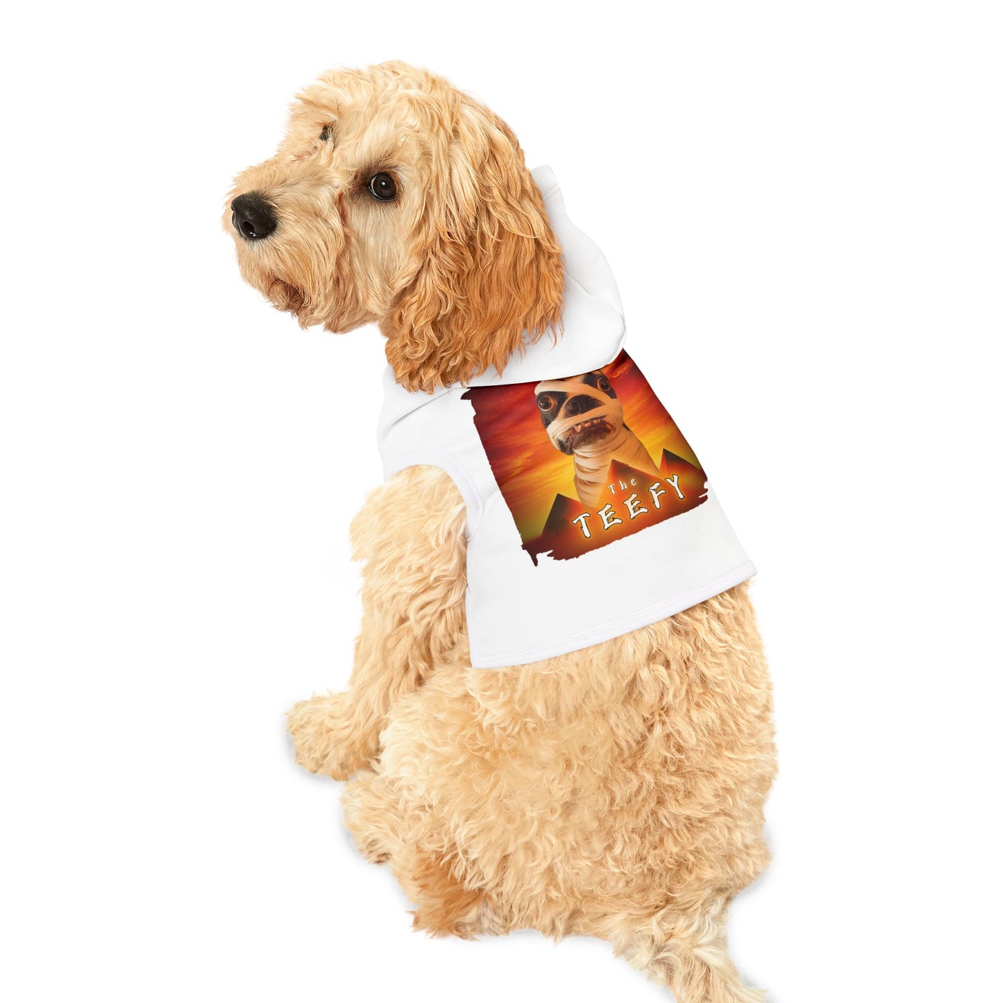 The Teefy Pet Hoodie: Ancient Cuteness Unleashed