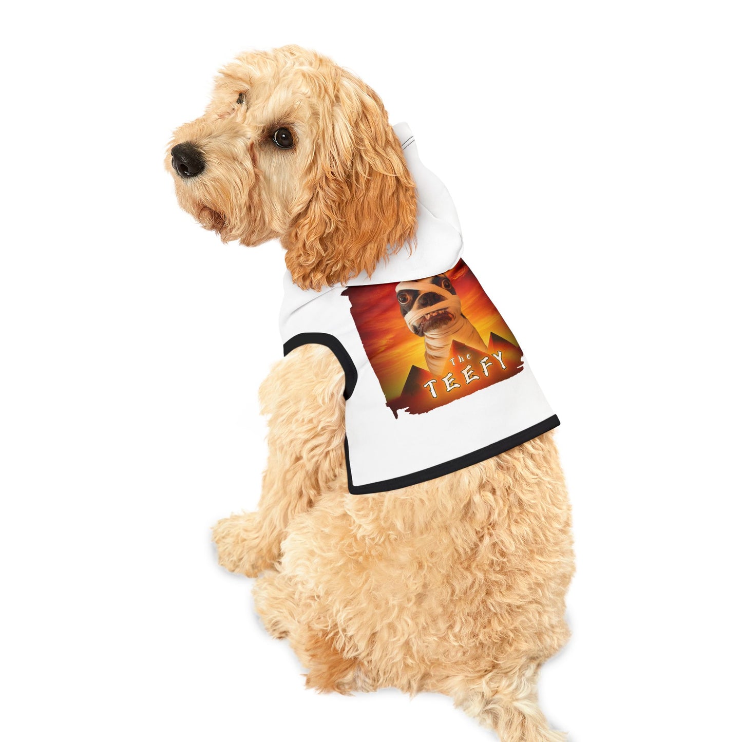 The Teefy Pet Hoodie: Ancient Cuteness Unleashed